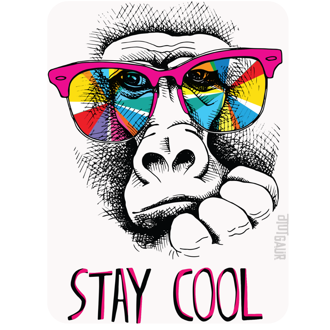 Stay Cool Monkey Fridge Magnet